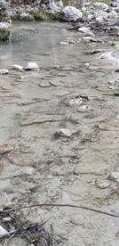 Carrione, acqua “pessima” bocciati quattro tratti 