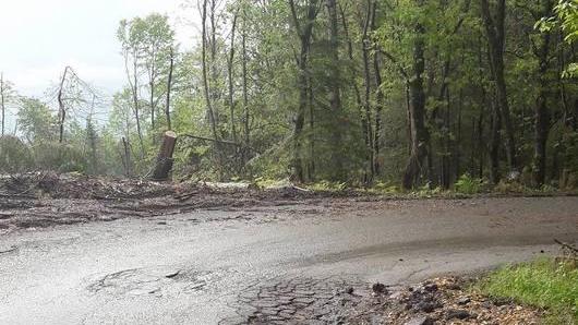 Viabilità disastrosa «Dov’è la Provincia?»