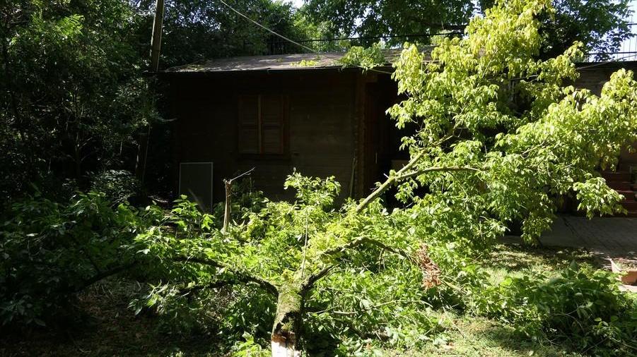 Giardino Capinere Si è spaccato un albero
