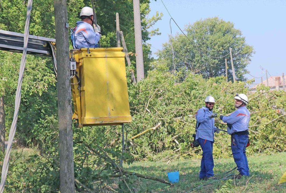 Caos alberi e linee elettriche ko Il temporale ha lasciato il segno 