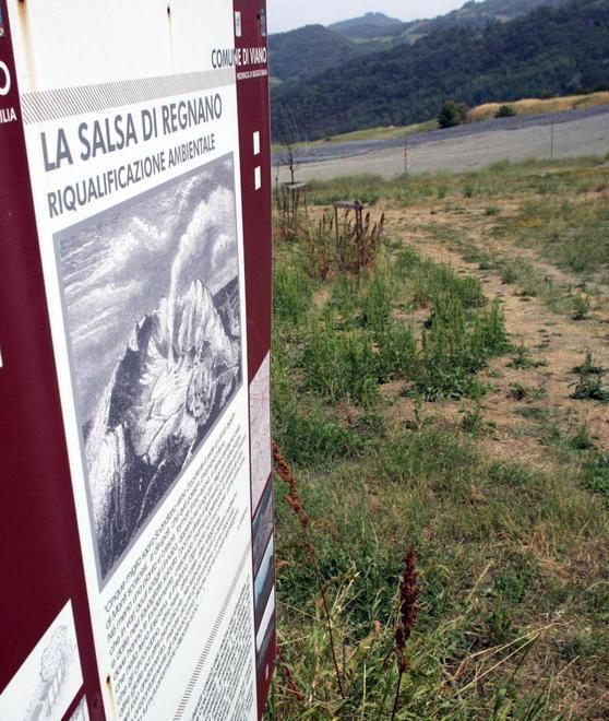 Senso unico alternato per taglio delle piante