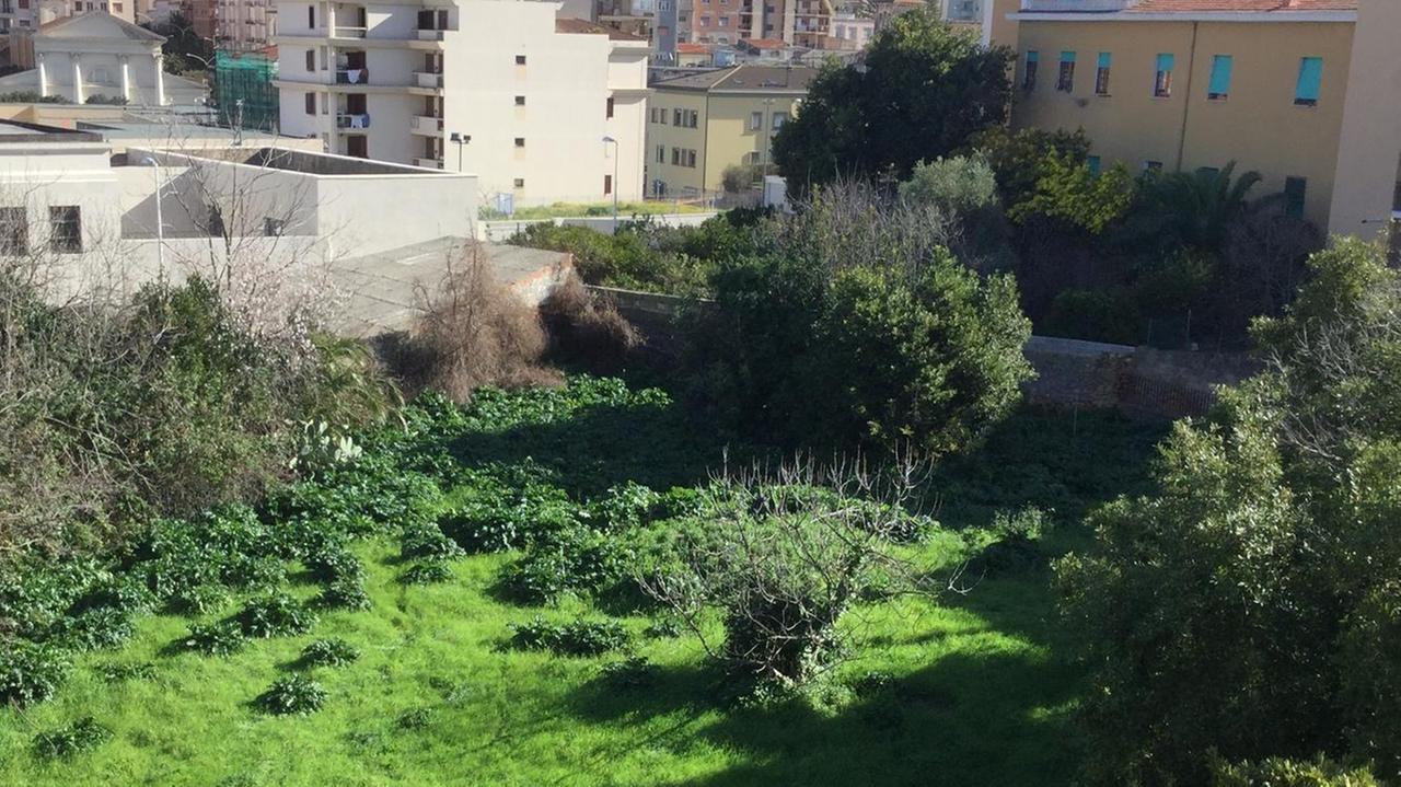 In comune il progetto popolare per il “giardino” di via Paoli