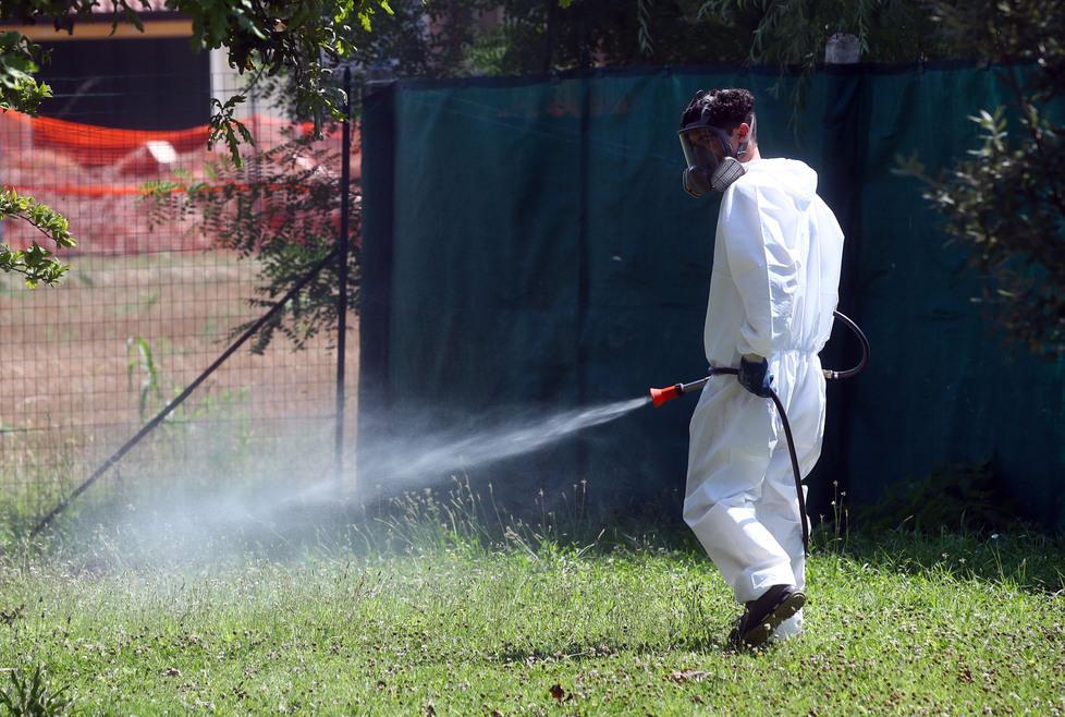 Morti da West Nile, il rebus dell’area rossa: i casi più gravi tra Ferrara e Alto ferrarese 