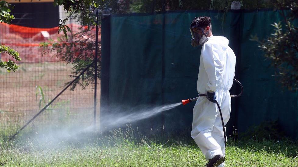 Morti da West Nile, il rebus dell’area rossa: i casi più gravi tra Ferrara e Alto ferrarese