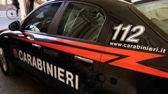Una pattuglia di carabinieri di Guastalla