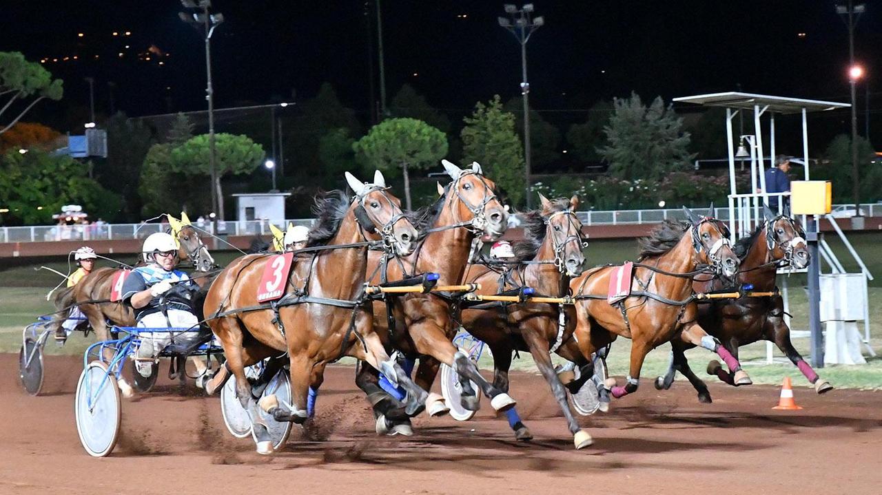 L'emozionante corsa delle pariglie al Sesana (Foto Rosellini)