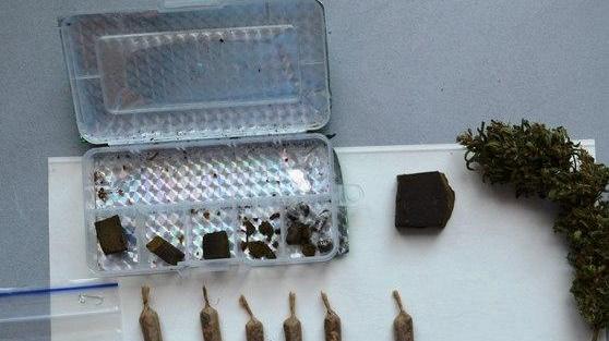 Tiene la pianta di hashish sul balcone: arrestato