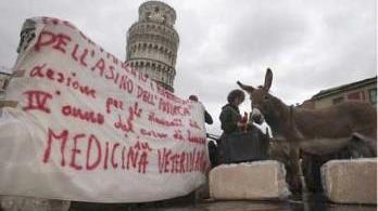 A Pisa i ricercatori bloccano gli esami