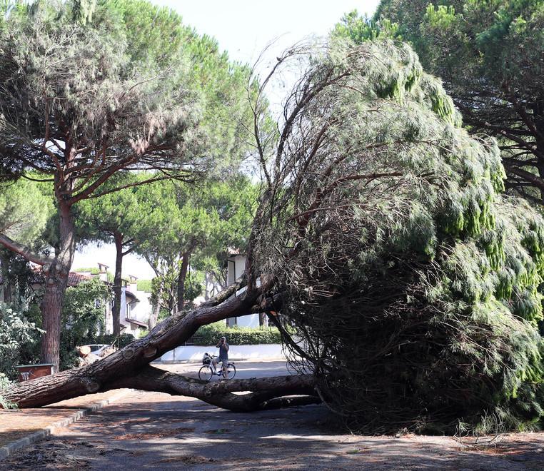 «Difficile prevedere i temporali Ma la sicurezza va prima di tutto» 