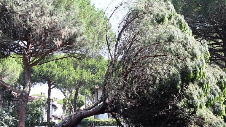 «Difficile prevedere i temporali Ma la sicurezza va prima di tutto»