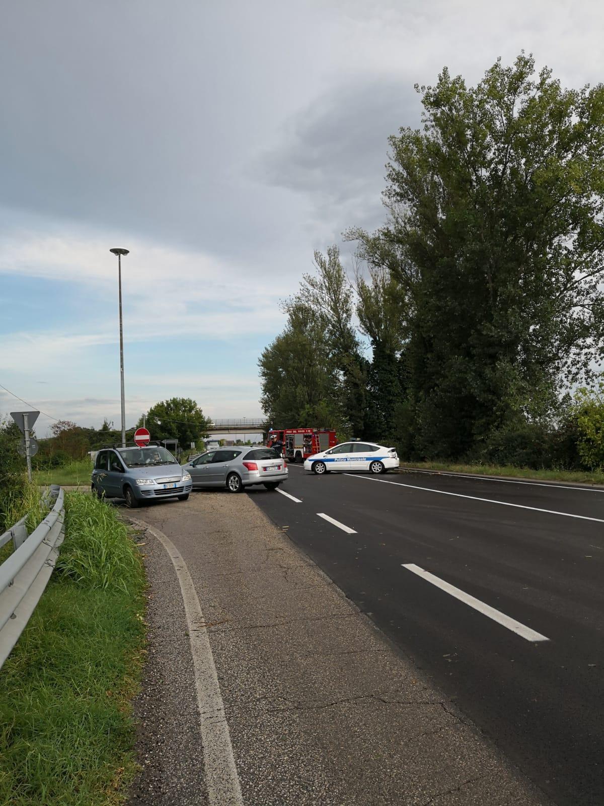 Ferrara: maltempo, vigili al lavoro 