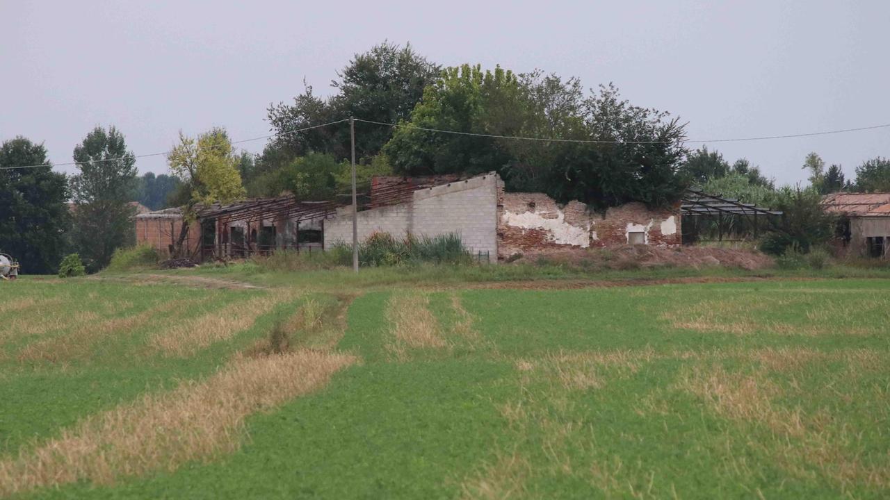 Punto dalle vespe, muore nei campi