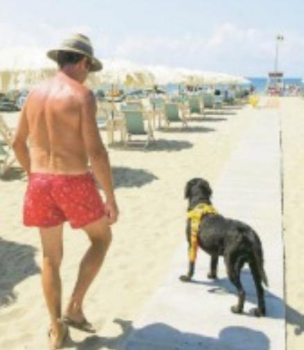 Cani di assistenza servono nuove ordinanze balneari 