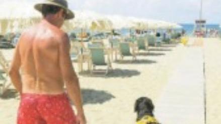 Cani di assistenza servono nuove ordinanze balneari