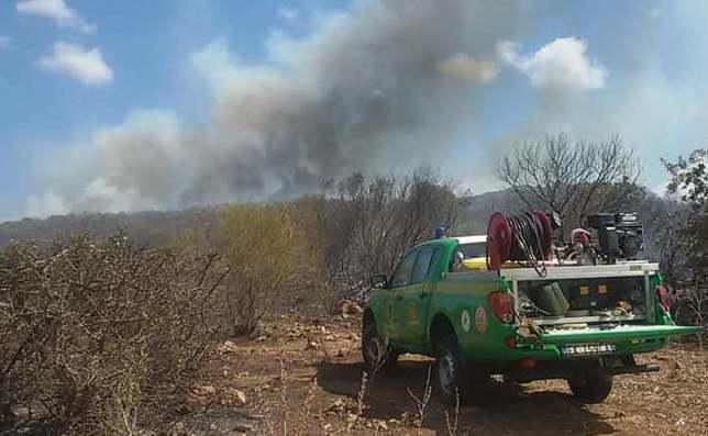 Incendi nei boschi, scoppia la polemica tra il volontariato e i vigili del fuoco