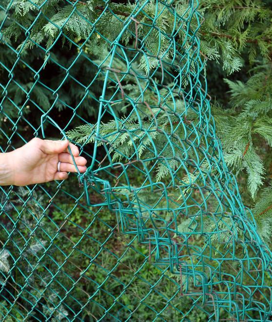 Ladri tagliano recinzione Ma il colpo in casa sfuma