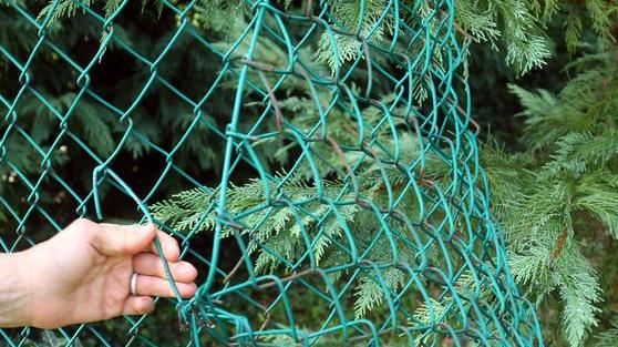 Ladri tagliano recinzione Ma il colpo in casa sfuma