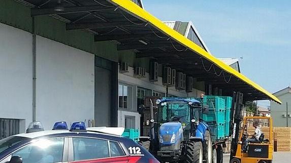 Camionista precipita da due metri d’altezza, ferito a un braccio