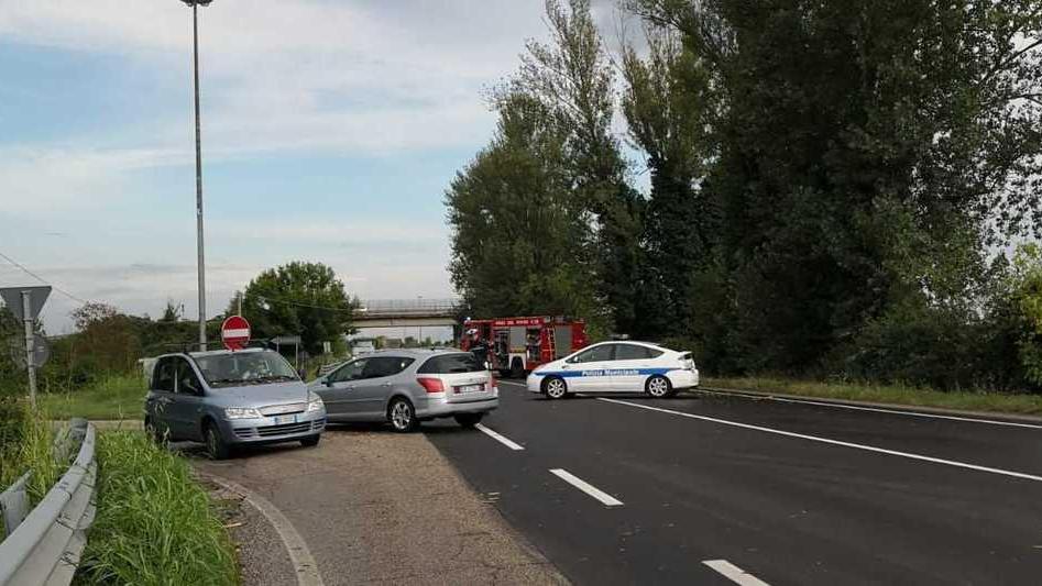 Rami e alberi cadono in strada, bloccata anche la Statale 16