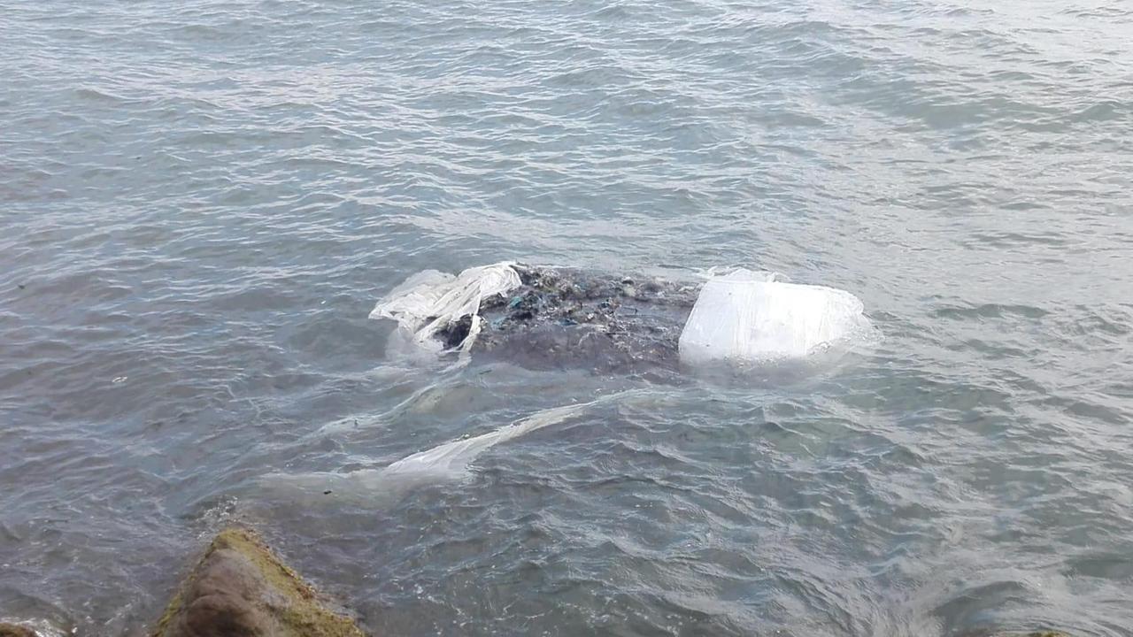 L'ecoballa in mare
