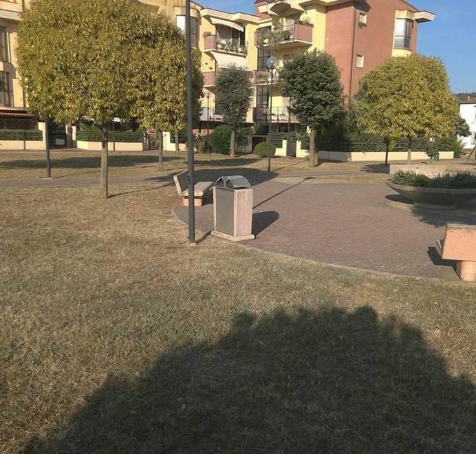 Guerra a topi e zanzare il Comune affida gli interventi a una ditta