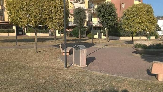 Guerra a topi e zanzare il Comune affida gli interventi a una ditta