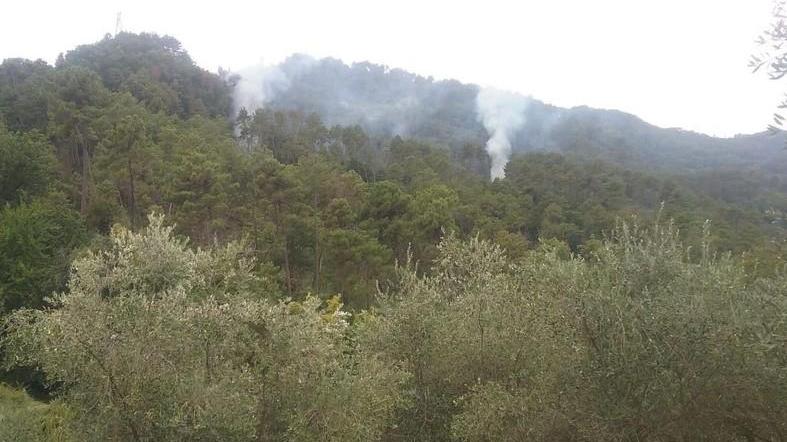 Nuovo incendio doloso in collina
