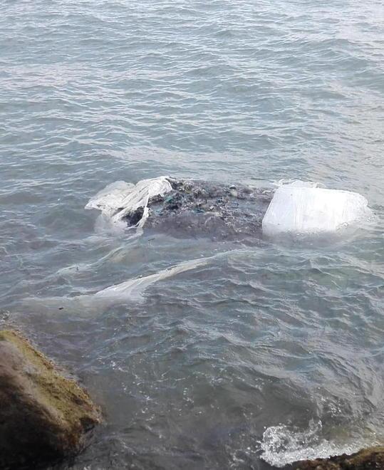 Rifiuti, ecoballa in mare Allarme nel Golfo