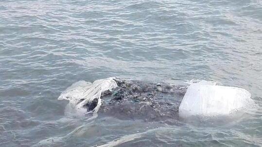 Rifiuti, ecoballa in mare Allarme nel Golfo