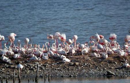 Zone umide, via agli interventi per 12 milioni 