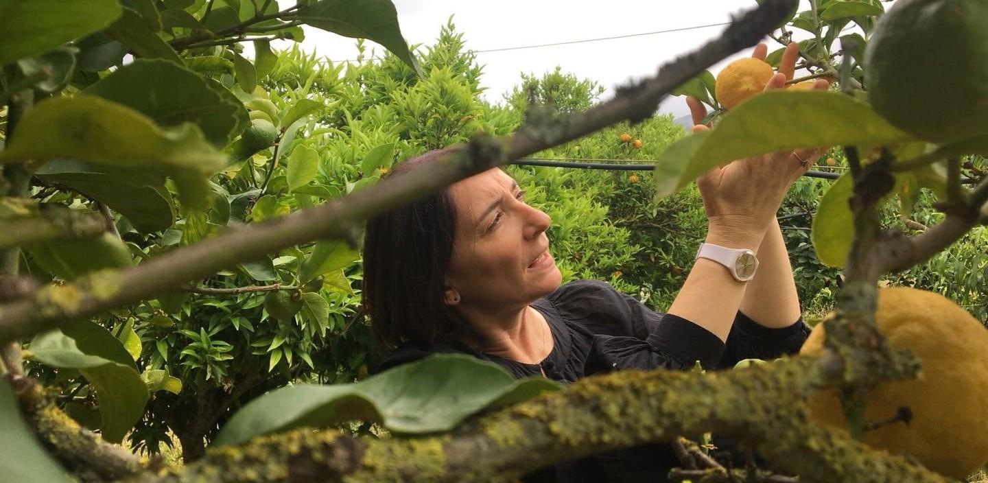 Il limoncello sardo conquista la Francia 