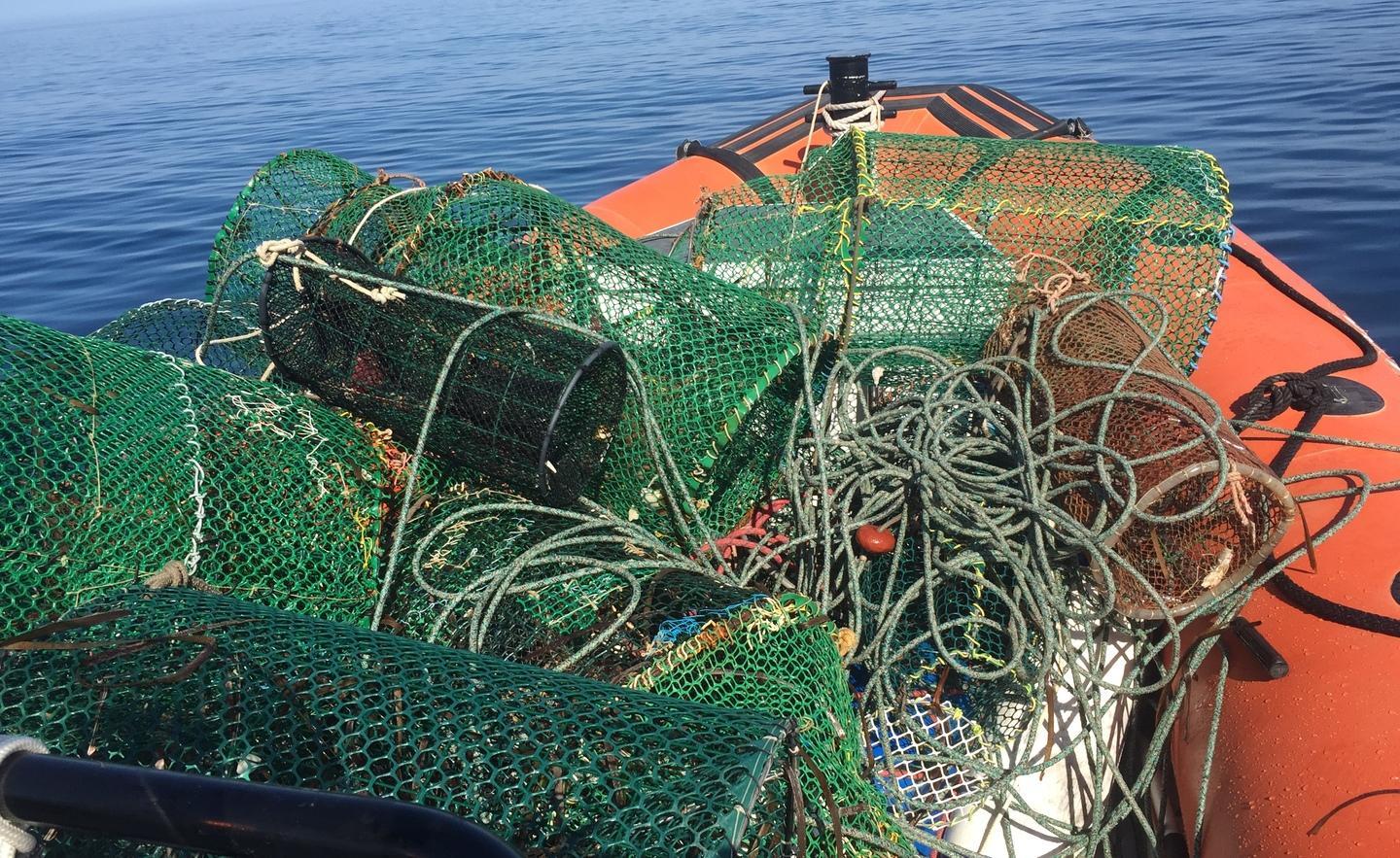 Sequestrate nasse per la pesca di frodo 