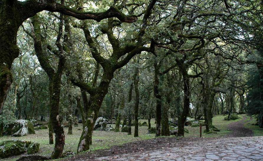 Anche a Macomer matrimoni civili in mezzo alla natura 
