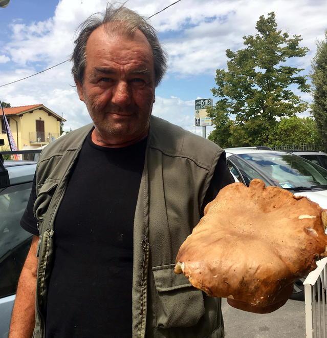 Un porcino di 4 etti e una cesta riempita 