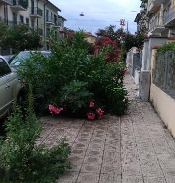Buche, piante e incuria: marciapiedi impraticabili