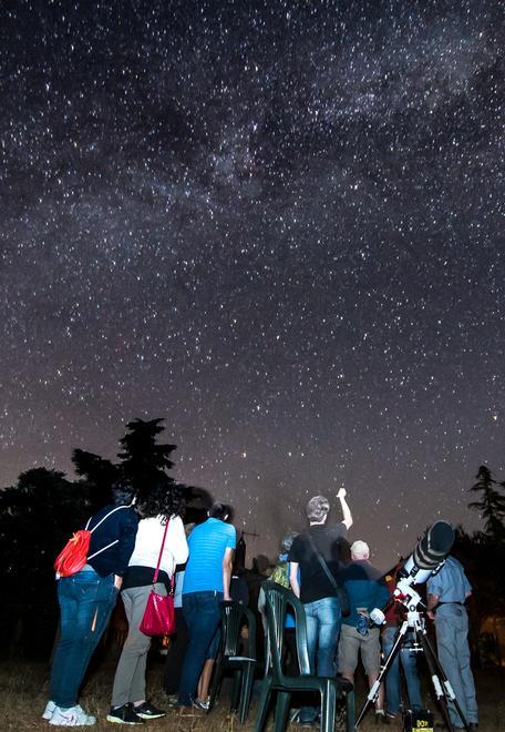 La vita notturna del bosco Escursione al Belagaio