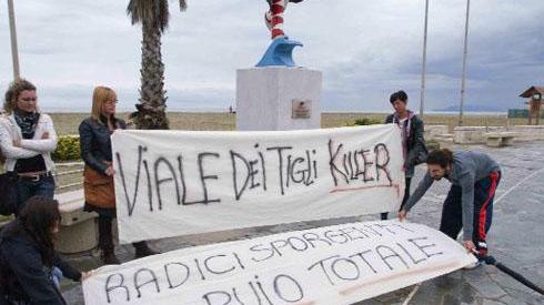 "Recintate il viale dei Tigli"