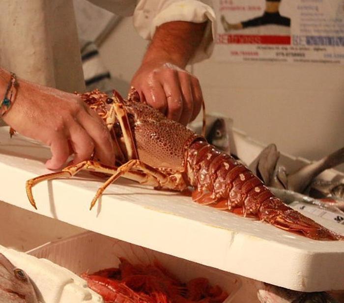 Alghero, alle stelle le quotazioni della “regina aragosta” 