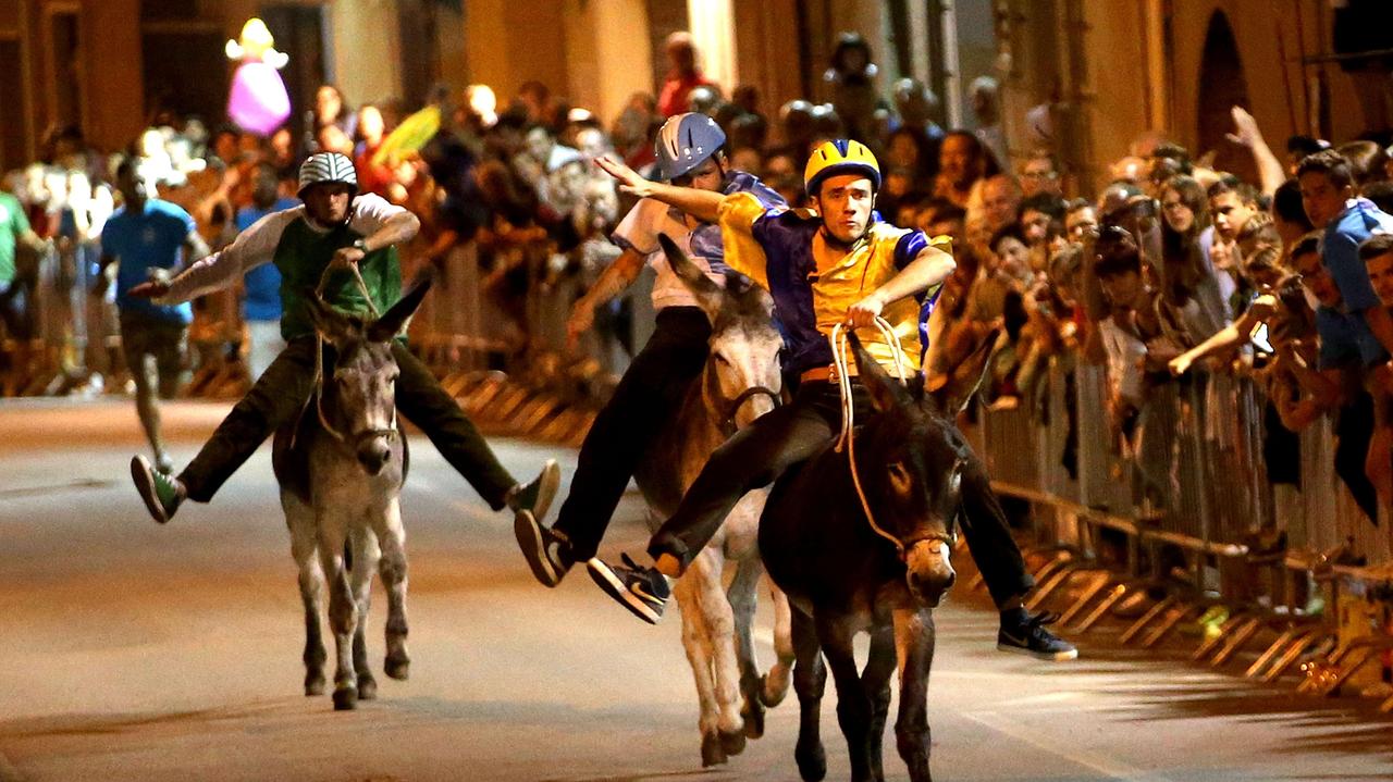 Un'immagine della passata edizione del palio dei ciuchi