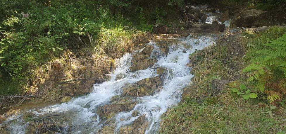 Gita fuori porta alle Fonti di Poiano, una riserva di relax 