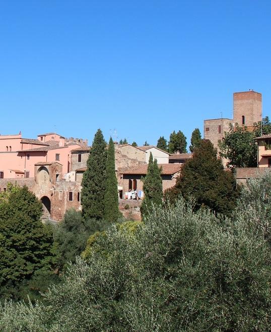 A Certaldo si celebra la cipolla di Boccaccio