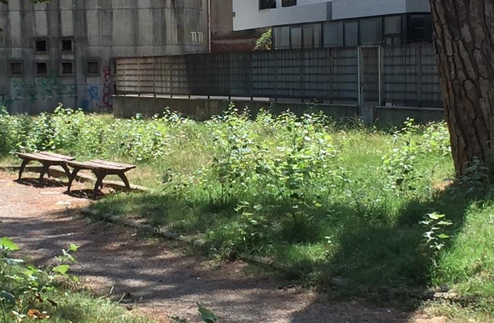 Degrado per l’erba alta nel giardino in centro
