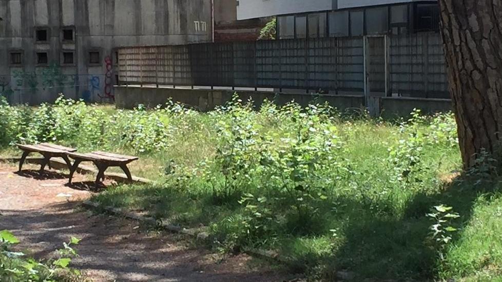 Degrado per l’erba alta nel giardino in centro