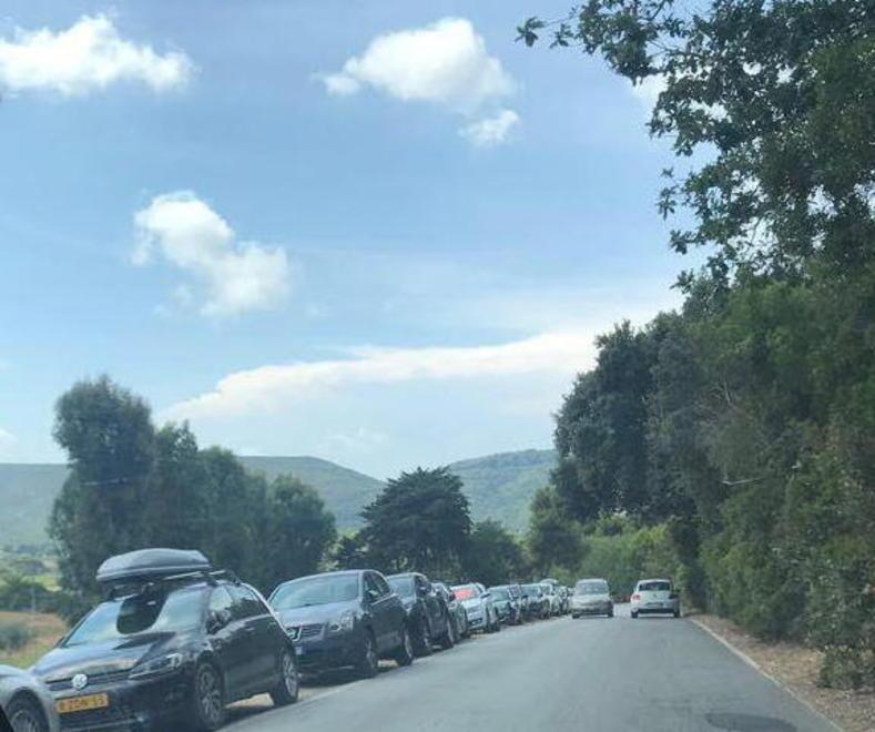 Parcheggio selvaggio sulla strada di Baratti Auto in banchina e multe dei vigili urbani 