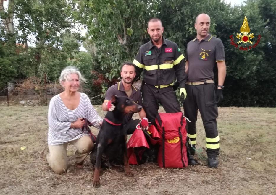 Vigili del fuoco salvano il cane
