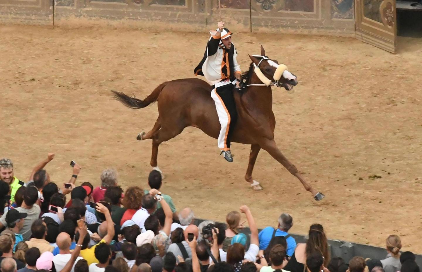 la dinastia sarda