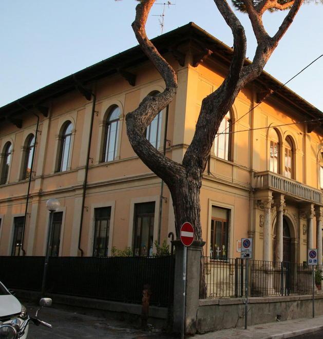 Via Cavallotti, i residenti: «Ma quel pino è sicuro?»