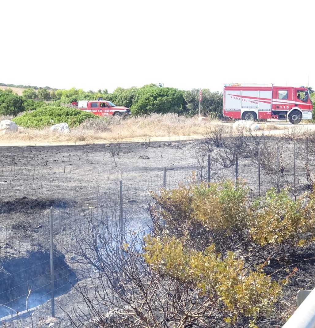 Fiamme in campagna a Stintino