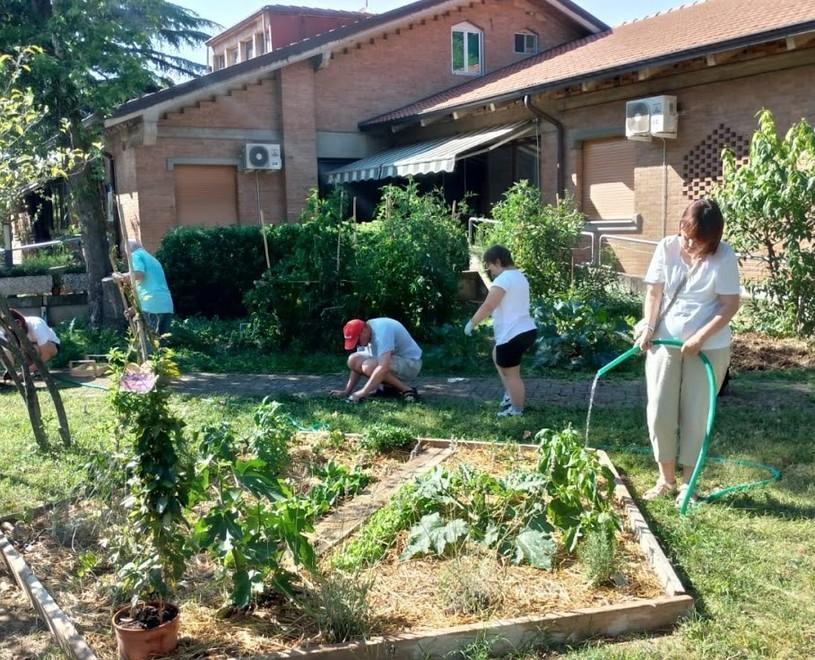 Cavriago, verdure a chilometri zero nell’orto dei ragazzi disabili 