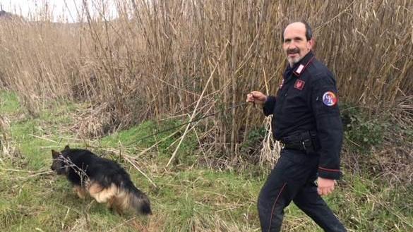 Un controllo dei carabinieri nel bosco (foto d'archivio)